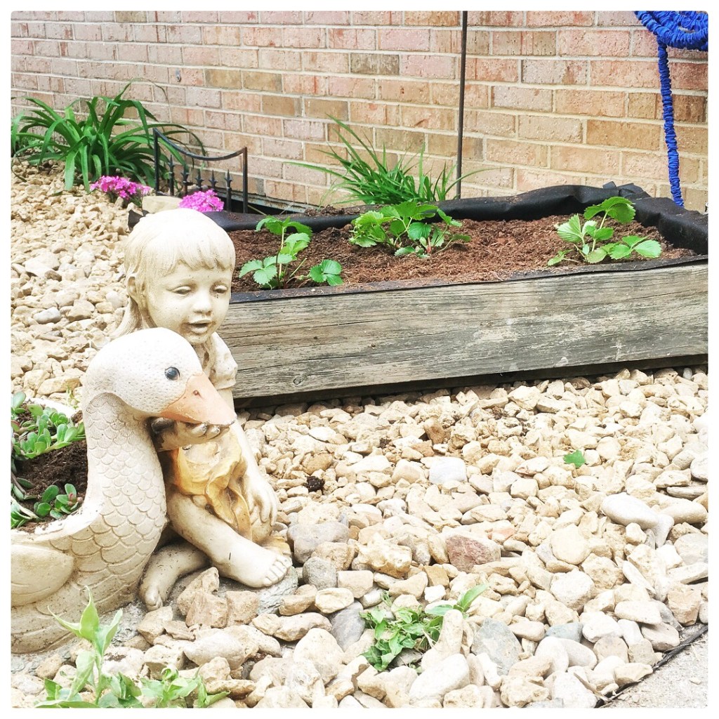 DIY Strawberry Beds + My Love Affair with the&nbsp;Outdoors