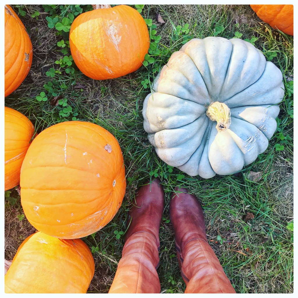 It’s October, the Best and Most Beautiful Month of the&nbsp;Year