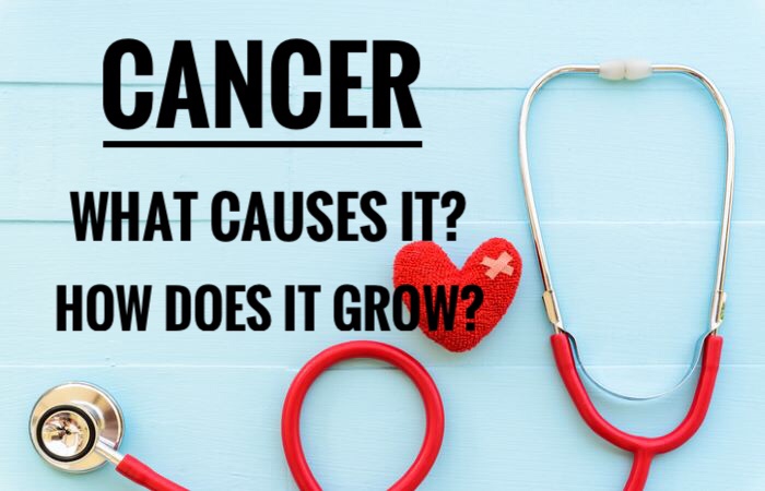 Cancer: How It Happens, and What You Can Do About&nbsp;It