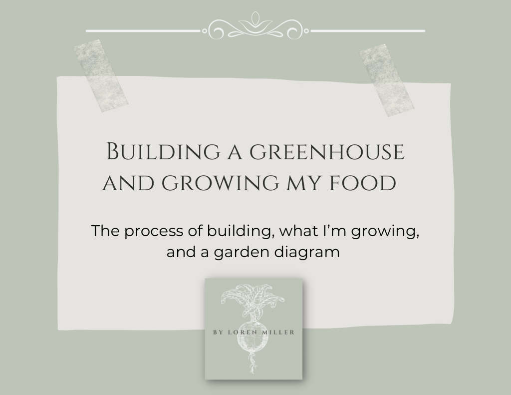 Building a Greenhouse and Growing My&nbsp;Food